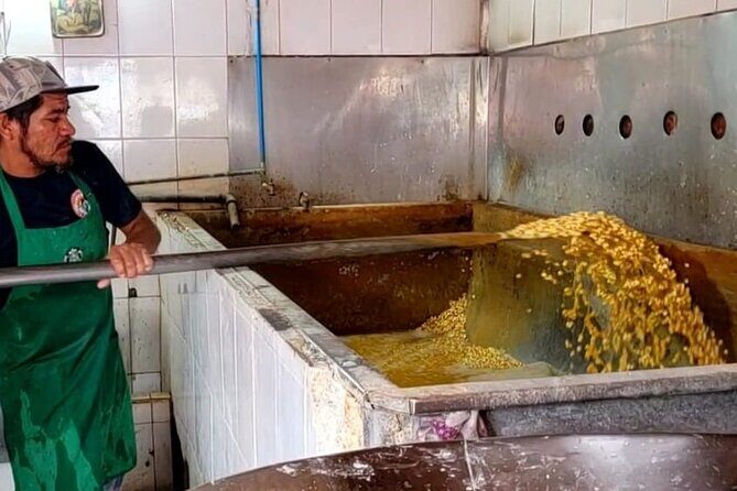 Market Visit and Mexican Cooking Class - Why This Tour Might Be Perfect for You