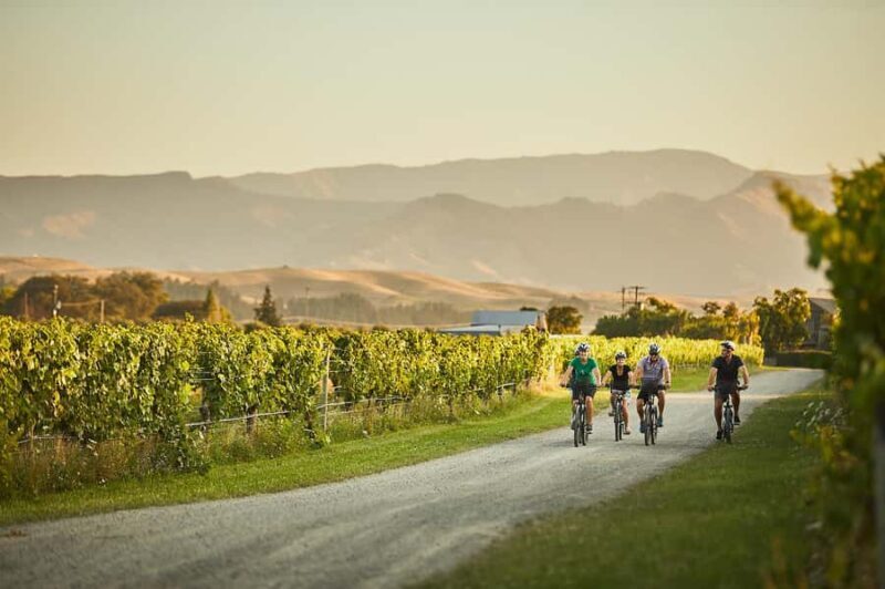 Marlborough: Full-Day Self-Guided Biking Wine Tour - Key Points