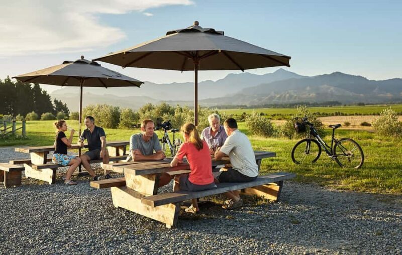 Marlborough: Full-Day Self-Guided Biking Wine Tour - Discovering Marlborough at Your Own Pace