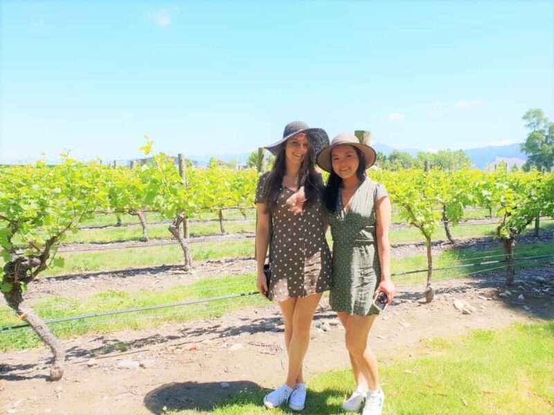 Marlborough: Full Day "Winemaker's Tour" - The Experience from a Guest’s Perspective