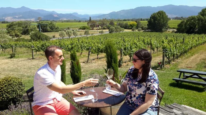 Marlborough Half-Day Wine Tour from Blenheim - Who Is This Tour Best For?