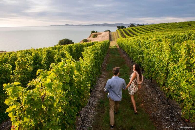 Marlborough Half-Day Wine Tour from Blenheim - FAQ