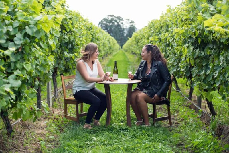 Marlborough Half Day Wine Tour From Picton 1pm - How Does it Compare to Other Experiences?