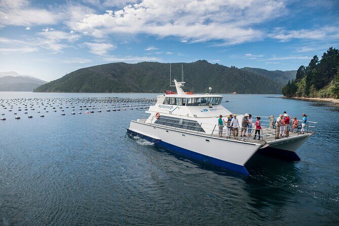 Marlborough Icons Tour - Wine tasting + Cruise - Transportation and Group Size