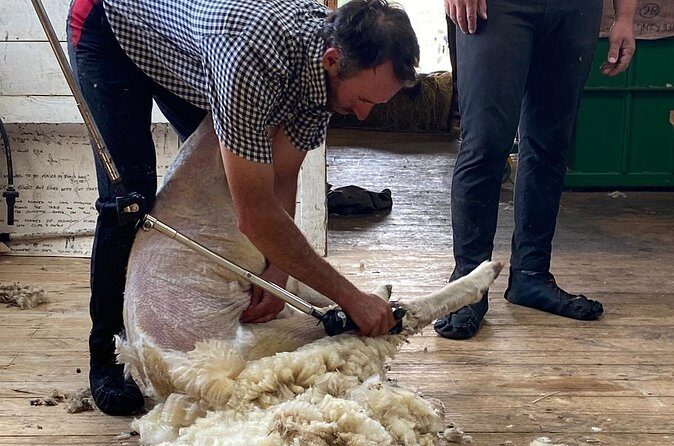 Marlborough Sheep Station Tour with Wine Tasting and Lunch - Final Thoughts