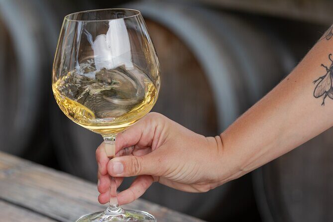 Marlborough Sheep Station Tour with Wine Tasting and Lunch - FAQ