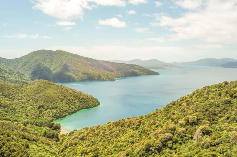 Marlborough Sounds and Ship Cove Cruise from Picton - Key Points