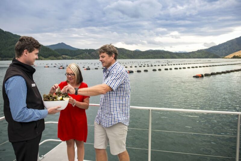 Marlborough Sounds: Greenshell Mussel Cruise - FAQs