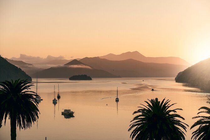 Marlborough Sounds Greenshell Mussel Tasting Cruise - Final Thoughts