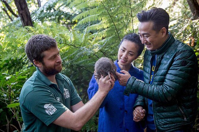 Marlborough Sounds Ultimate Cruise - The Experience in Action: What Travelers Are Saying