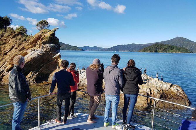 Marlborough Sounds Ultimate Cruise - Final Thoughts