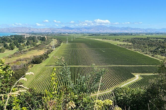 Marlborough Wine Region Tour from the Port of Picton - Final Thoughts