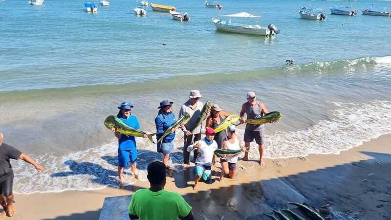 Marlin fishing in guayabitos - FAQs