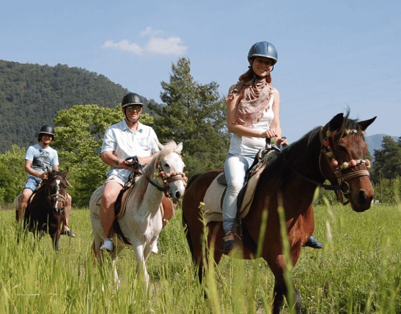 Marmaris: Horse Riding Experience with Hotel Transfers - Who Is This Tour Best For?