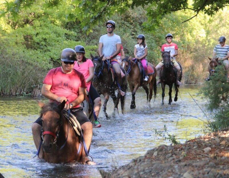 Marmaris: Horse Riding Experience with Hotel Transfers - The Value for Money