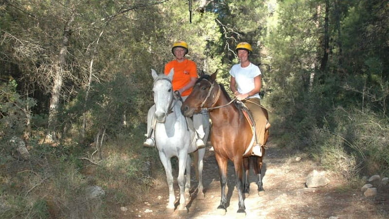 Marmaris: Horse Riding & Safari with Hotel Transfer - Key Points