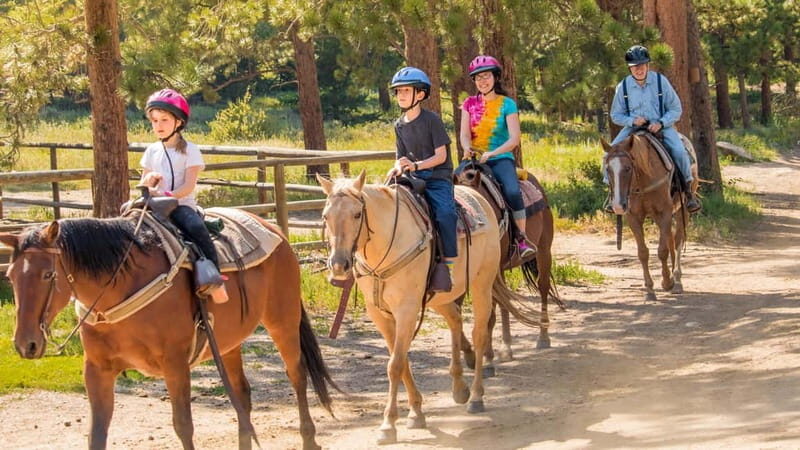 Marmaris: Horse Riding & Safari with Hotel Transfer - A Scenic Ride into Marmaris’s Countryside