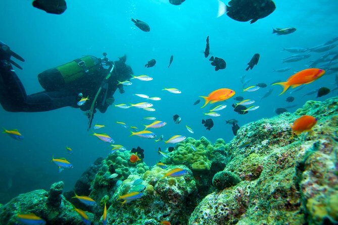 Marmaris & Icmeler Scuba Diving - A Detailed Breakdown of the Itinerary