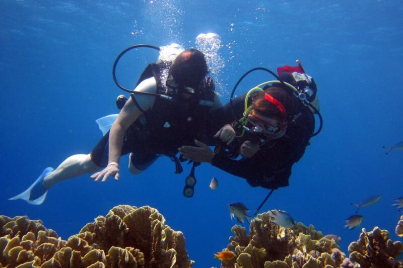 Marmaris: Scuba Diving Experience with 2 Dives and Lunch - Detailed Breakdown of the Tour
