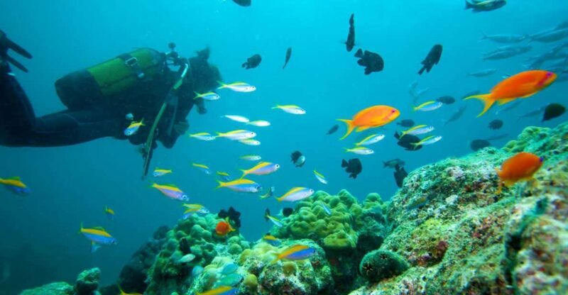 Marmaris: Scuba Diving with a Qualified Instructor - The Equipment and Safety