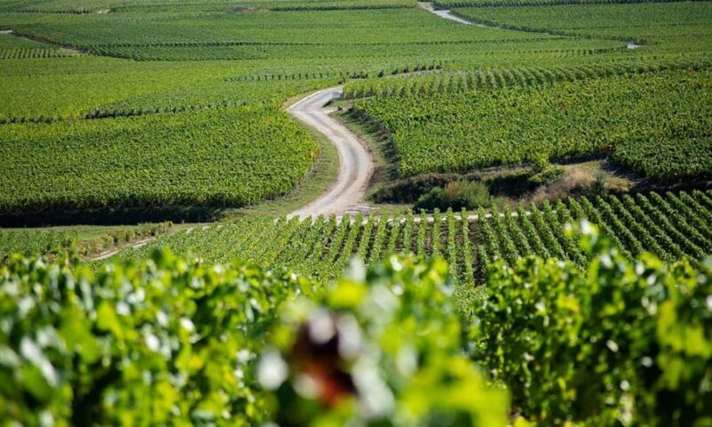 Marne: 2-Day Champagne Tour with Tastings and Lunches - Discovering the Marne Champagne Tour: A Friendly Guide