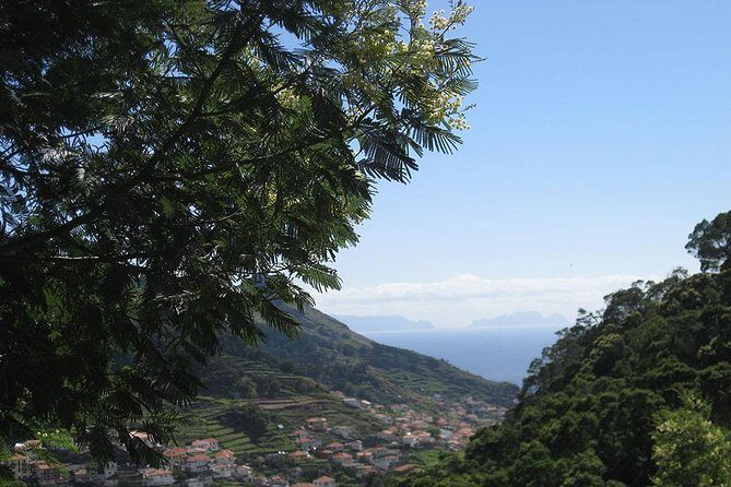 Maroços Mimosa Valley Levada Walk from Funchal - Why This Tour Offers Great Value