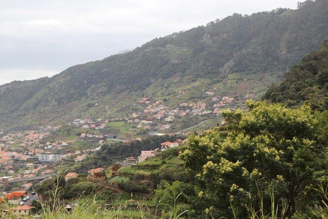 Maroços - Vale das Mimosas (Half Day Walk) - Authentic Experiences and Honest Insights