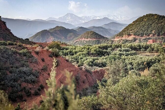 Marrakech: Ourika Valley, Atlas Mountains, Waterfall Hike & Lunch - FAQs