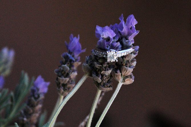 Marriage proposal in San Miguel - Pricing and Value