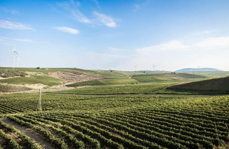 Marsala: Blindfolded Wine Tasting with Game and Gift - Practical Tips for Potential Participants