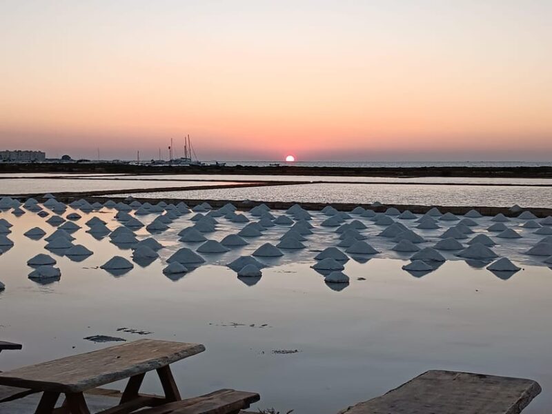 Marsala: Guided tour of the Genna Salt Pans - Key Points