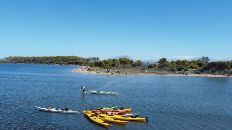 Marsala: Kayak Tour in Stagnone di Marsala Nature Reserve - Key Points