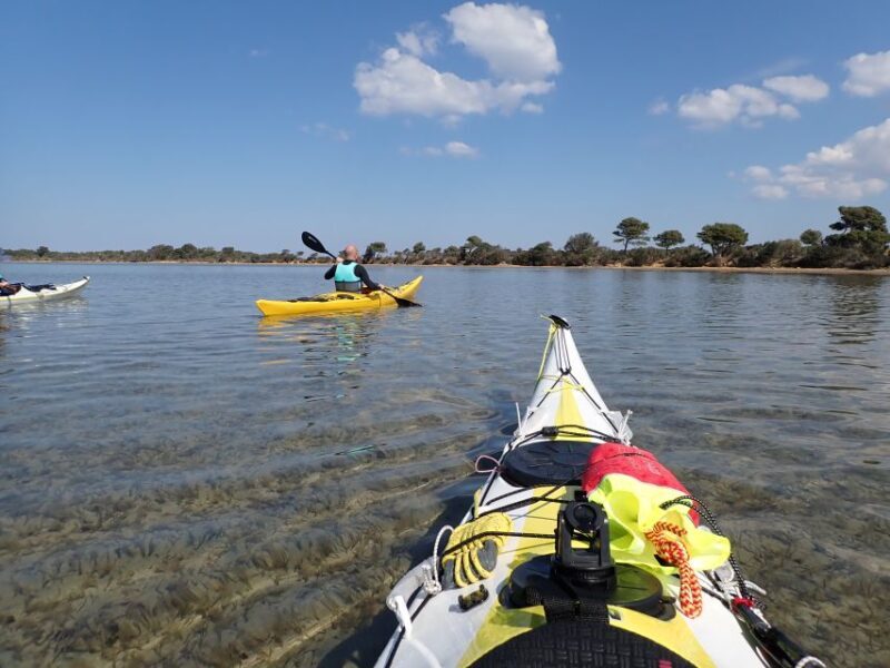 Marsala: Kayak Tour in Stagnone di Marsala Nature Reserve - The Value of the Experience