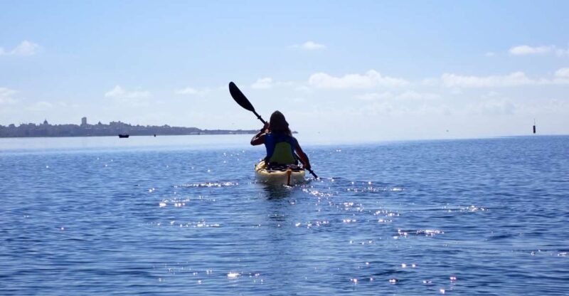 Marsala: Kayak Tour in Stagnone di Marsala Nature Reserve - Who Is This Tour Best For?