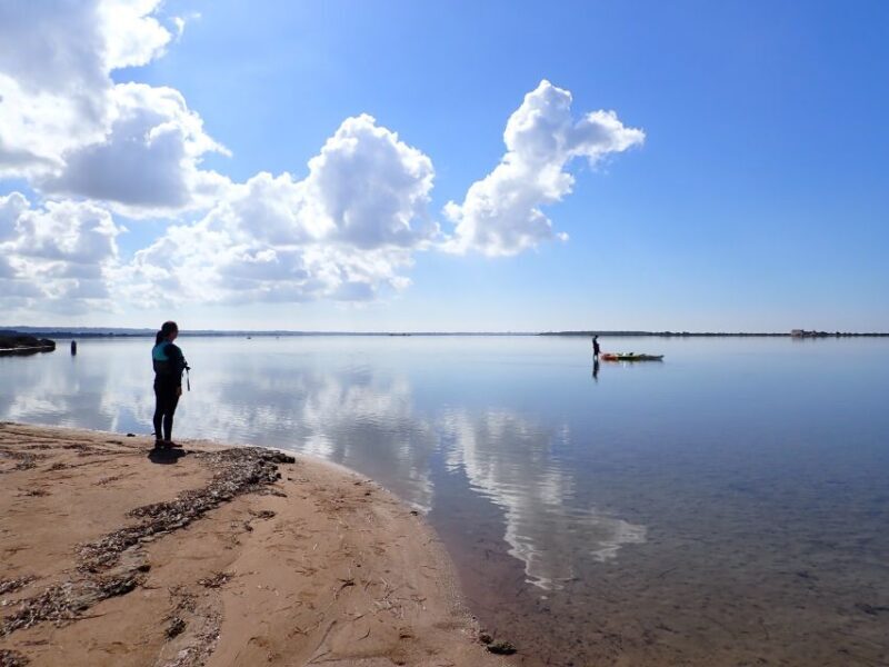 Marsala: Kayak Tour in Stagnone di Marsala Nature Reserve - The Sum Up