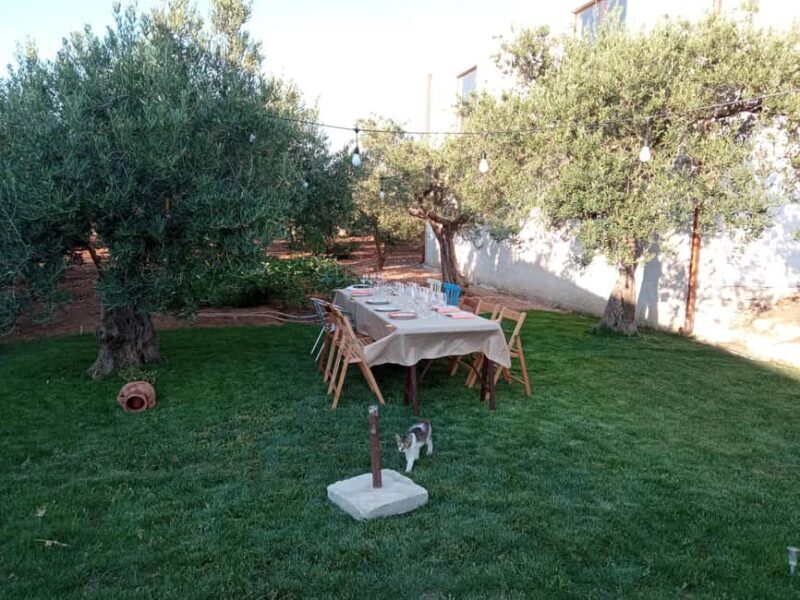 Marsala: Visit a Winery and Taste Artisanal Wines - Key Points