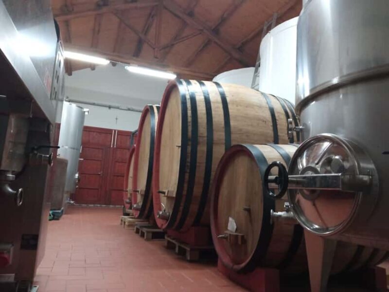Marsala: Visit a Winery and Taste Artisanal Wines - A Closer Look at the Marsala Winery Visit