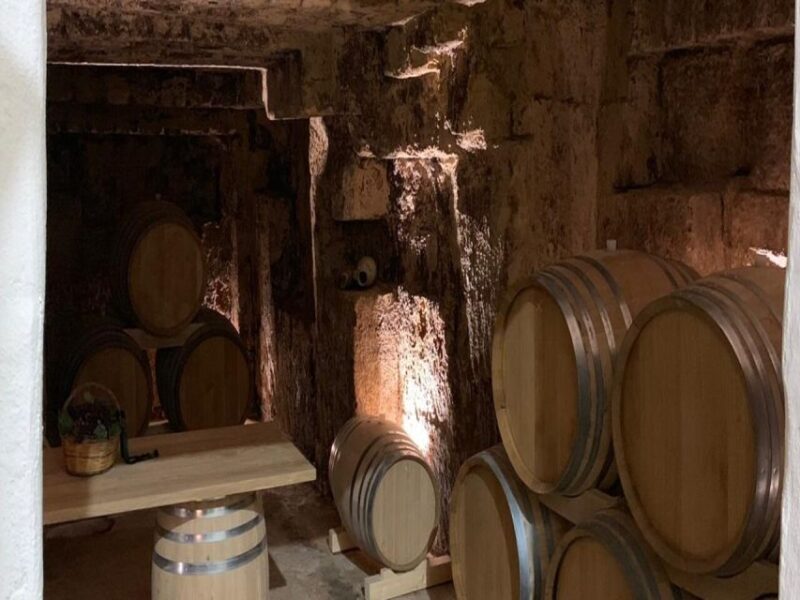 Marsala: Winery Tour with Wine Tasting and Local Products - Final Thoughts: Who Should Consider This Tour?