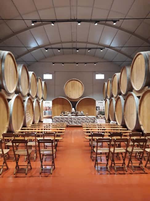 Marsala: Winery visit and wine tasting with local samples - A Closer Look at the Winery Visit and Tasting Experience