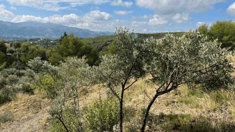 Marseille - Allauch: between tradition, history and nature - Who Should Book This Tour?