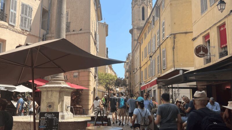 Marseille and Aix-en-Provence: culture, history and art of living - Practical Details and What to Expect