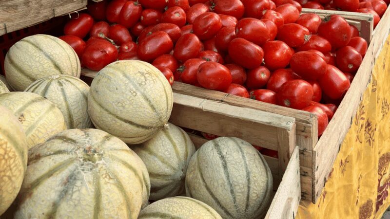 Marseille and Aix-en-Provence: culture, history and art of living - Final thoughts