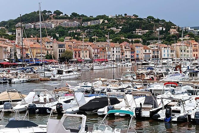 Marseille and Cassis Private Full-Day Tour - An Honest Breakdown of the Marseille and Cassis Private Day Trip