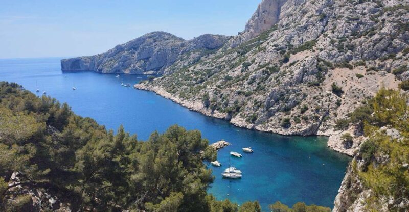 Marseille: Guided Hiking Calanques National Park from Luminy - Discovering Calanques National Park: What to Expect