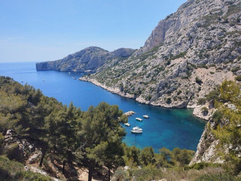 Marseille: Guided Hiking Calanques National Park from Luminy - The Value of This Experience