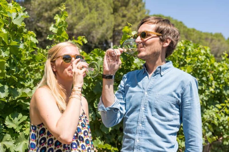 Marseille Highlights & Wine tasting Day tour - A Closer Look at the Itinerary