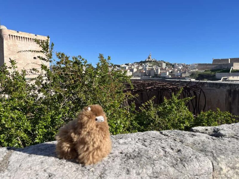 Marseille: Private Customised Walking 2-Hour Tour - Key Points