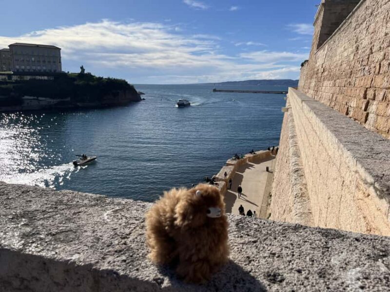 Marseille: Private Customised Walking 2-Hour Tour - Starting Point: Marseille’s Old Port