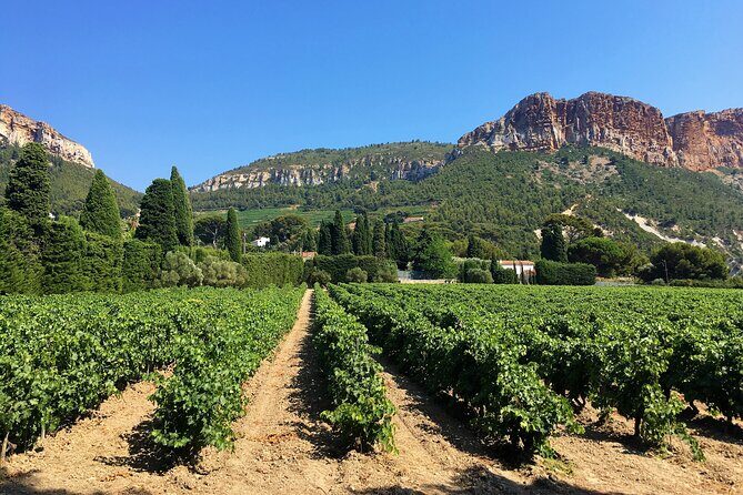 Marseille Shore Excursion - Full Day Wine Tour in Provence - What to Expect from the Marseille Provence Wine Tour