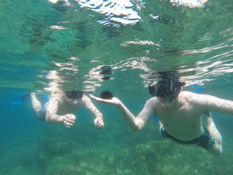Marseille: Snorkeling immersive experience with picnic - Key Points